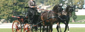 Carriage Driving